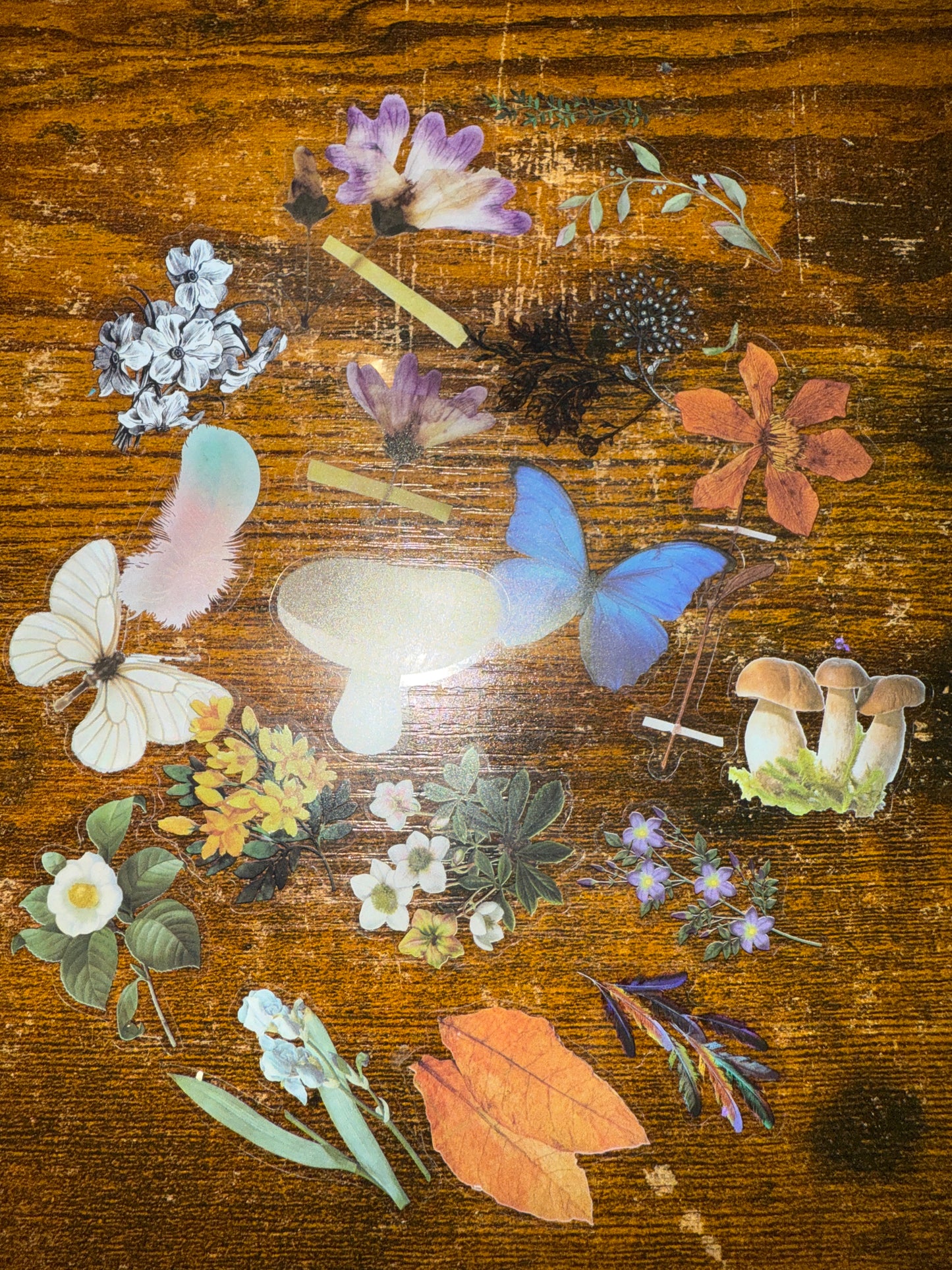 Junk Journal/Bullet Journal Starter Kit