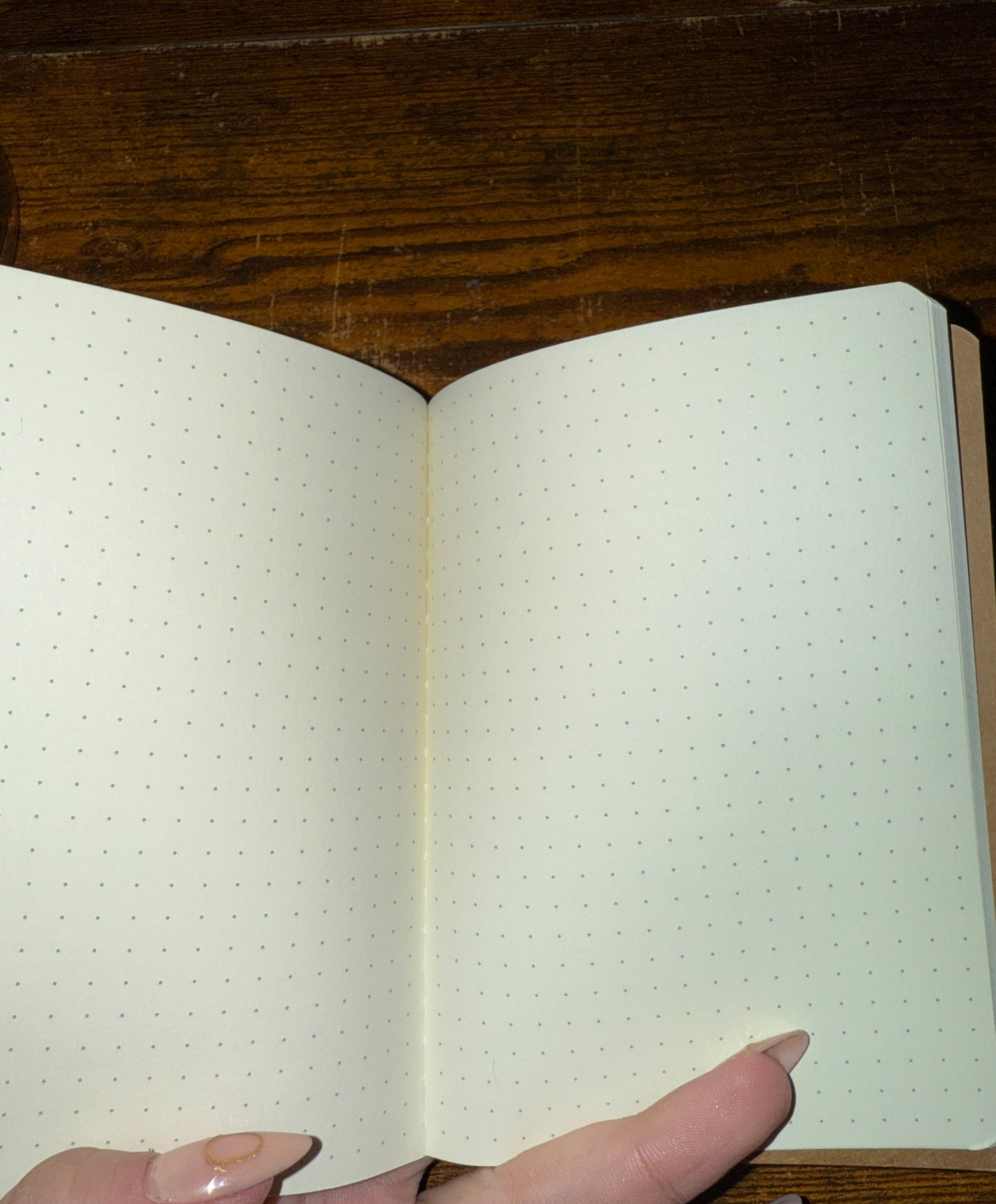 Junk Journal/Bullet Journal Starter Kit