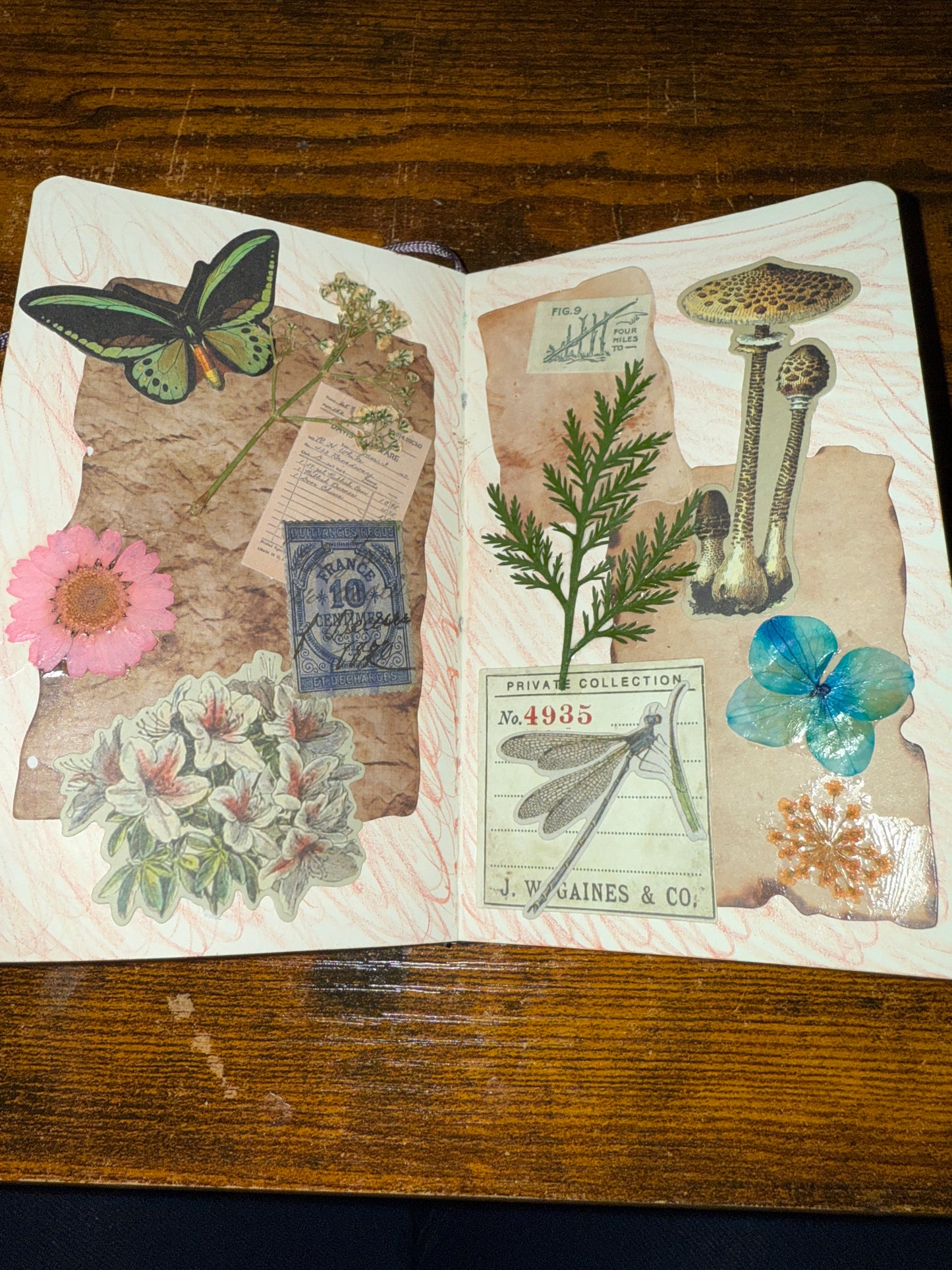 Junk Journal/Bullet Journal Starter Kit