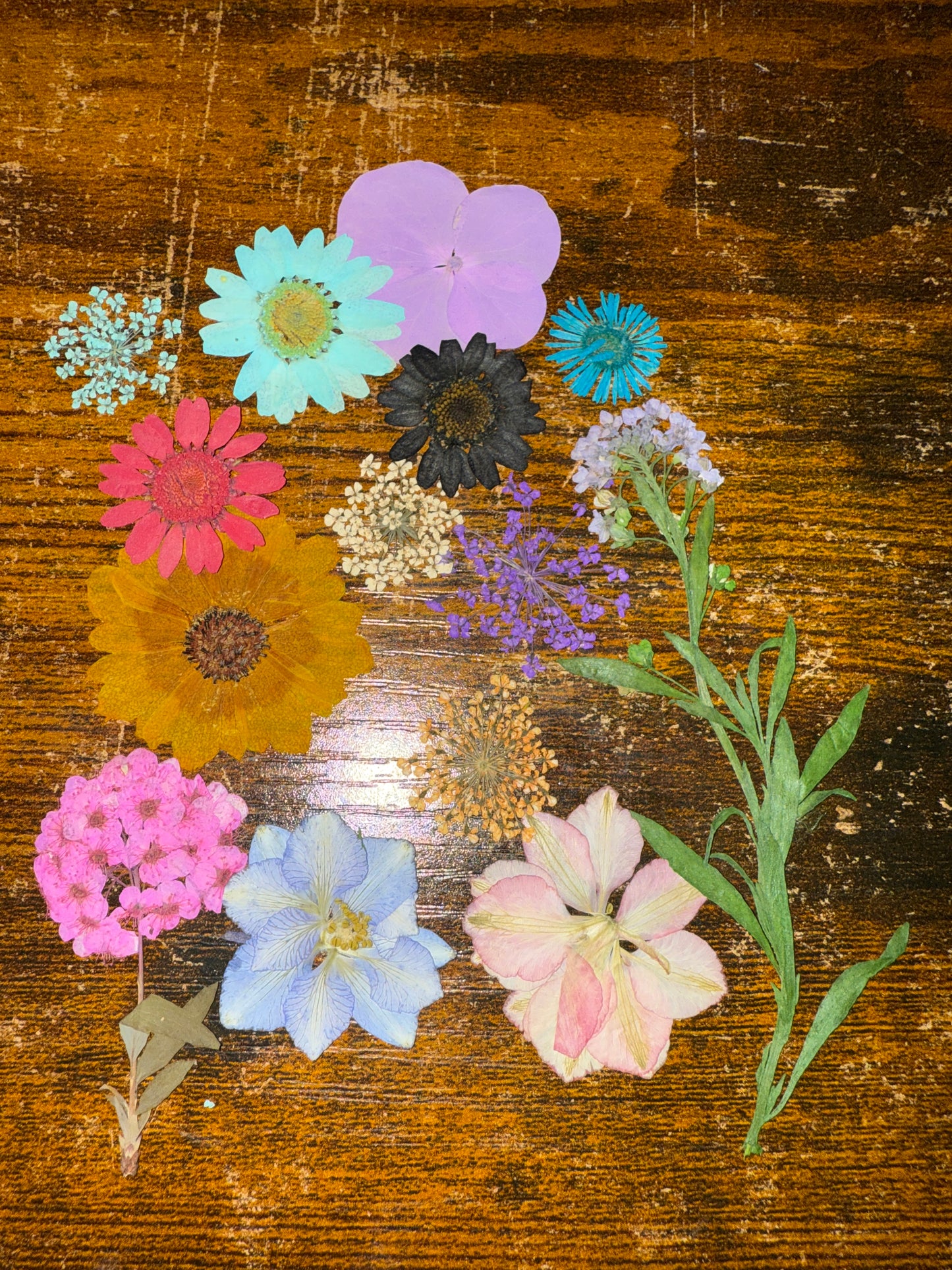 Junk Journal/Bullet Journal Starter Kit