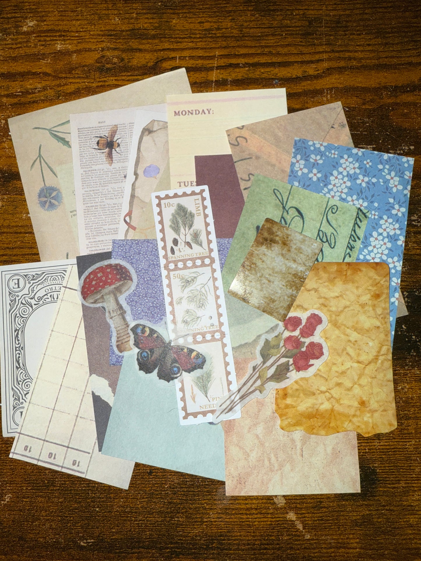 Junk Journal/Bullet Journal Starter Kit